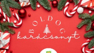 CSILLAGFÉNY  Projekt